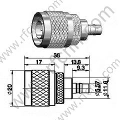 N männlich an qMA weiblicher RF-Adapter